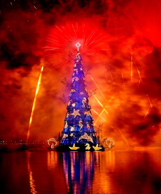 شاهد صور اكبر شجرة كريسماس في العالم 2014