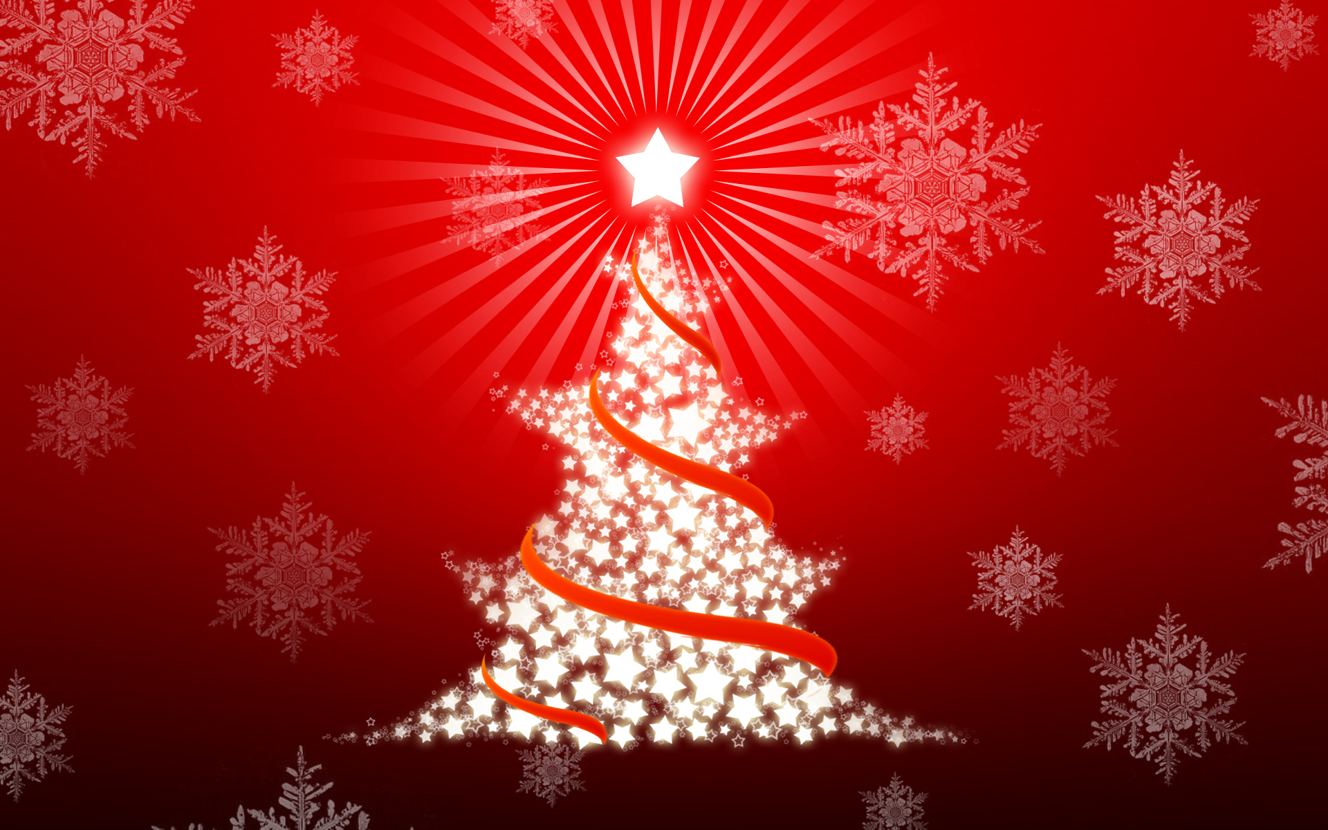 كولكشن صور شجرة الكريسماس 2014 christmas tree decorating ideas