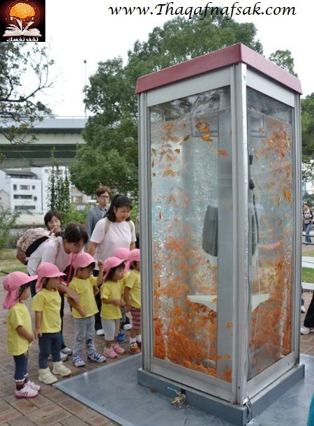 اليابان تحول أكشاك الهواتف العامة الى احواض سمك رائعة , شاهد الصور