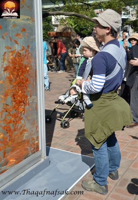 اليابان تحول أكشاك الهواتف العامة الى احواض سمك رائعة , شاهد الصور