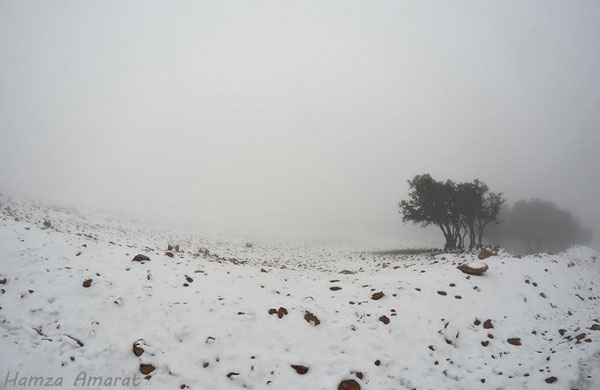 صور تساقط الثلوج في جنوب الاردن اليوم الجمعة 10-1-2014 , صور ثلوج جنوب الاردن 2014