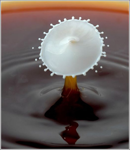 ماذا يحدث عندما تسقط قطرة حليب في فنجان قهوة - بالصور