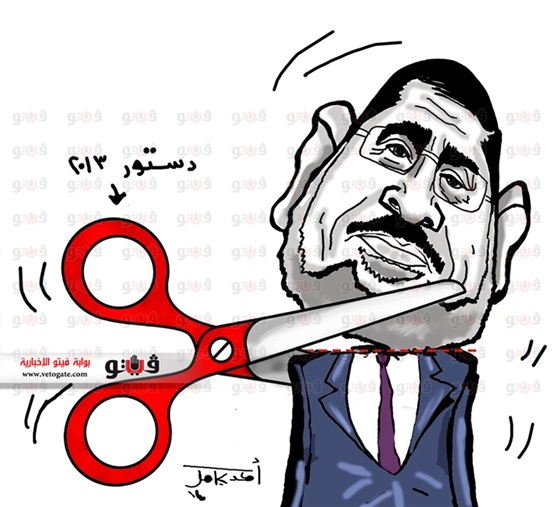 صورة كاريكاتير أحمد كامل اليوم الثلاثاء 14-1-2014