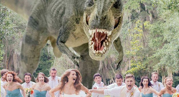 عروسين يهربان مع المعزومين من الديناصور - صور
