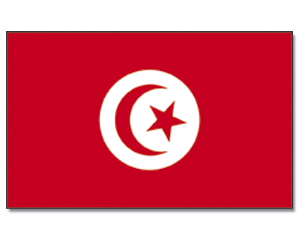 ترتيب المنتخب التونسي في تصنيف الفيفا لشهر يناير 2014