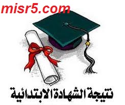 نتيجة الشهادة الابتدائية في محافظة الجيزة 2014 , موقع مديرية التربية والتعليم