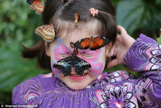 بالصور مئات الفراشات تحوم حول الزائرين بحديقة إنجليزية