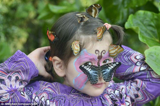 بالصور مئات الفراشات تحوم حول الزائرين بحديقة إنجليزية