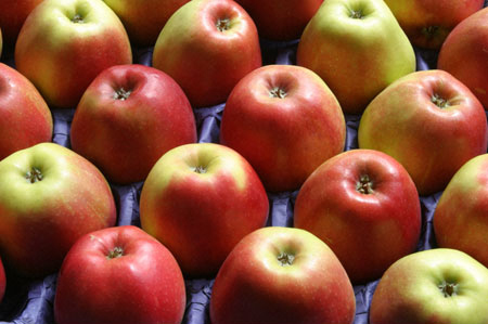 صور تفاح , معلومات عن التفاح , صور التفاح الاحمر و الاخضر 2014
