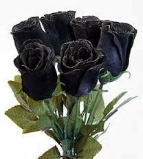 شاهد صور الزهرة السوداء من اندر الزهور في العالم ومعلومات عنها