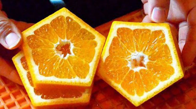 بالصور برتقال خماسى الأضلاع من ابتكار المزارعين في اليابان