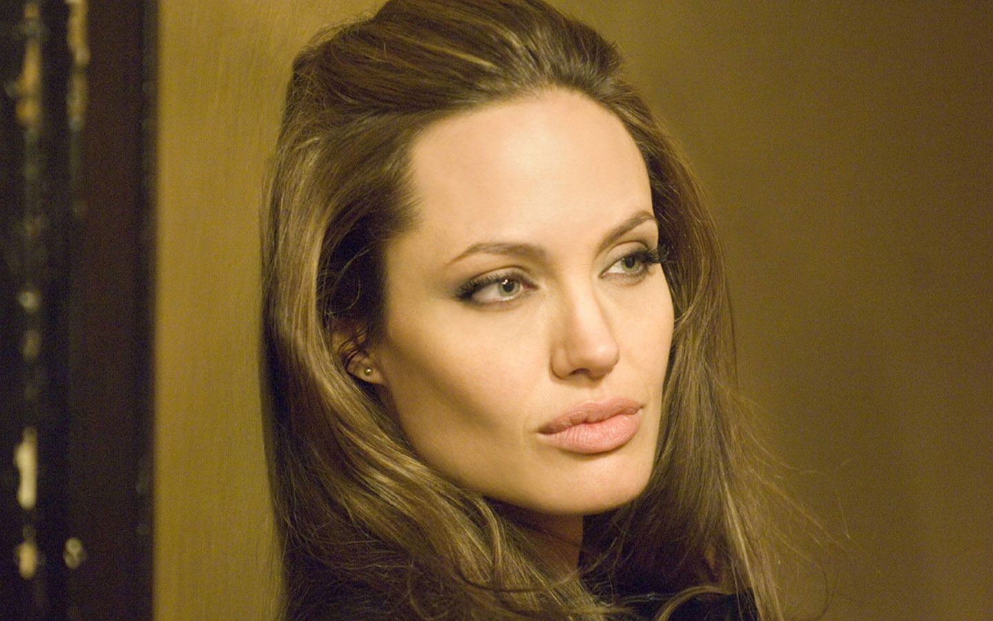 أجدد صور انجلينا جولي 2014 , صور انجلينا جولي 2015 Angelina Jolie