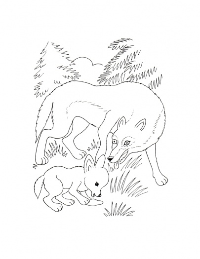 صور رسومات اشبال حيوانات للتلوين ، صور اشبال حيوانات مرسومة جاهزة للتلوين والطباعة Cubs Coloring 2015