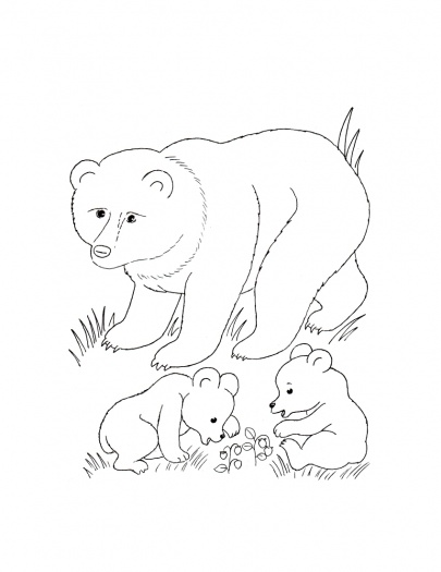 صور رسومات اشبال حيوانات للتلوين ، صور اشبال حيوانات مرسومة جاهزة للتلوين والطباعة Cubs Coloring 2015