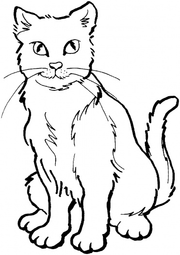 صور رسومات قطط للتلوين 2014 ، صور لوحات قطط مرسومة جاهزة للتلوين والطباعة Cats Coloring 2015