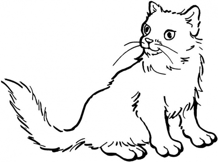 صور رسومات قطط للتلوين 2014 ، صور لوحات قطط مرسومة جاهزة للتلوين والطباعة Cats Coloring 2015