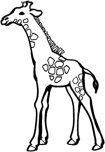 صور تلوين الزرافة 2014 ، صور رسومات زرافات للأطفال جاهزة للتلوين والطباعة Giraffes Coloring 2015