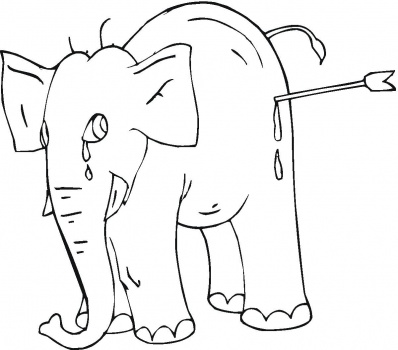 صور رسومات أفيال للتلوين 2014 ، صور لوحات أفيال للأطفال جاهزة للتلوين والطباعة Elephants Coloring 2015