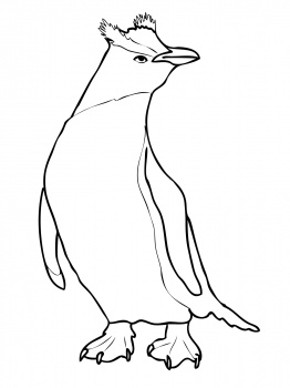صور رسومات تلوين البطريق 2014 ، صور رسومات طائر البطريق للأطفال جاهزة للتلوين والطباعة Penguin Coloring 2015