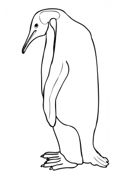 صور رسومات تلوين البطريق 2014 ، صور رسومات طائر البطريق للأطفال جاهزة للتلوين والطباعة Penguin Coloring 2015
