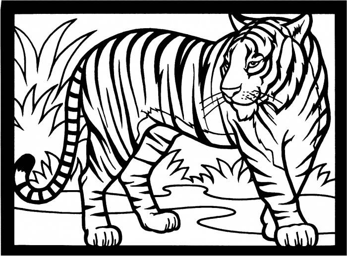 صور تلوين نمور 2014 ، صور رسومات نمور للأطفال جاهزة للتلوين والطباعة Tigers Coloring 2015