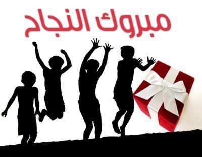 الان وبرقم الجلوس نتيجة الشهادة الابتدائية 2014 في محافظة الدقهلية
