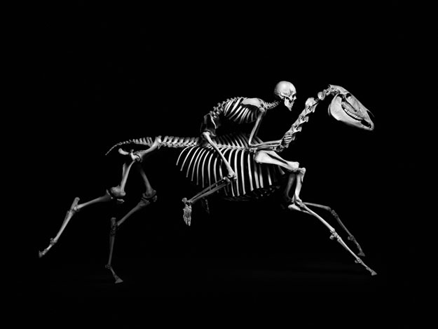 صور هياكل عظمية للحيوانات بالأبيض والأسود في متحف باريس