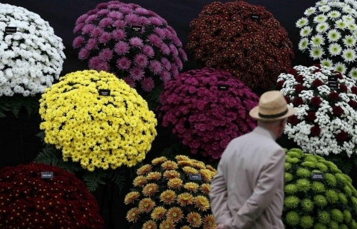 اجمل انواع الزهور - صور معرض الزهور في تشيلسي لندن