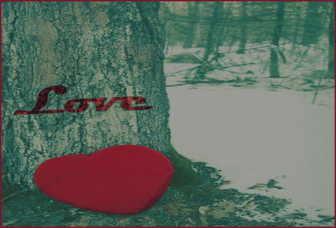 خلفيات عيد الحب للبلاك بيرى 2014 ، اجمل و احلى صور خلفيات رومانسية للفلانتين للبى بى 2015