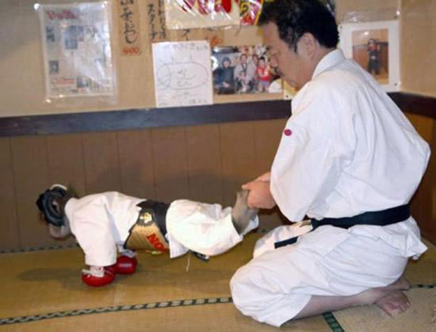 بالصور ،، قرد يمارس رياضة الكونغ فو والكاراتيه في اليابان