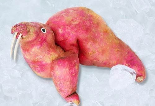 بالصور فنانة برازيلية تحول الخضروات والفواكه لأشكال مضحكة طريفة