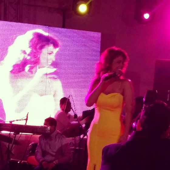 صور حفل مي سليم في عيد الحب في الإسكندرية 2014 ،، صور فستان مي سليم في حفل عيد الحب 2014