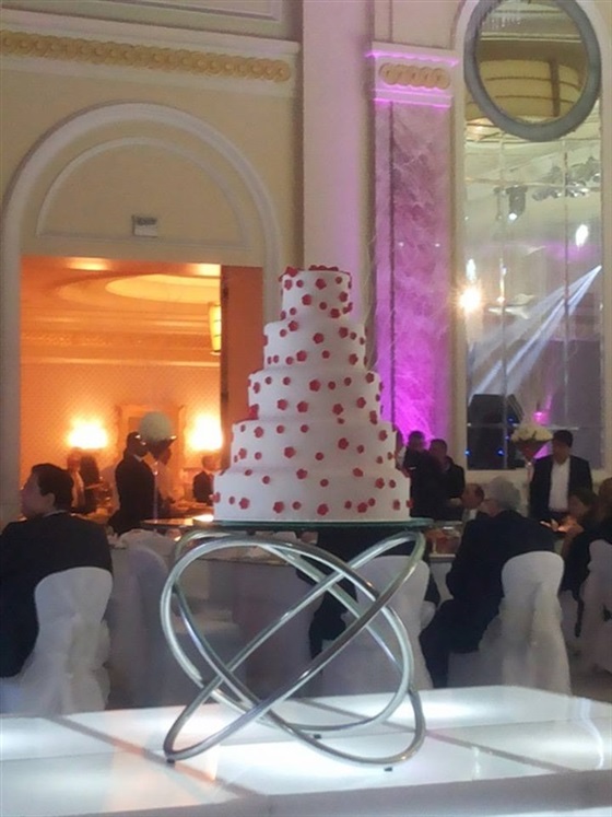 صور حفل زفاف عماد أديب على الفنانة مروة حسين 2014 ،، صور فستان الممثلة مروه حسين في حفل زفافها 2014