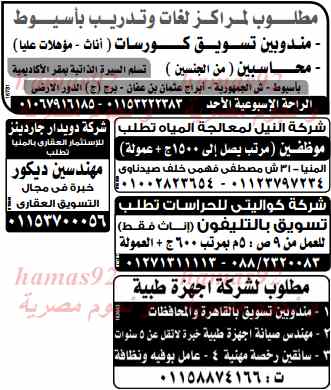 وظائف خالية ،، في جريدة الوسيط الصعيد اليوم الاحد 16-2-2014