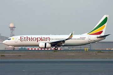 بالصور إختطاف طائرة اثيوبية بالاجواء المصرية 2014 , اسباب إختطاف طائرة اثيوبية بالاجواء المصرية 2014