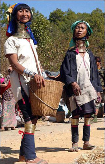 صور نساء بأعناق طويلة جدا في قبيلة بشمال تايلاند