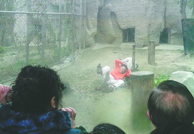 بالفيديو نمر أبيض يفترس احد زوار حديقة الحيوان بالصين