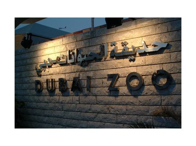 صور حديقة الحيوانات في دبي 2014 , معلومات عن حديقة الحيوانات في امارة دبي 2014