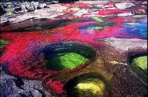 صور جميلة وساحرة لنهر كانو كرستيال - Cano Cristales
