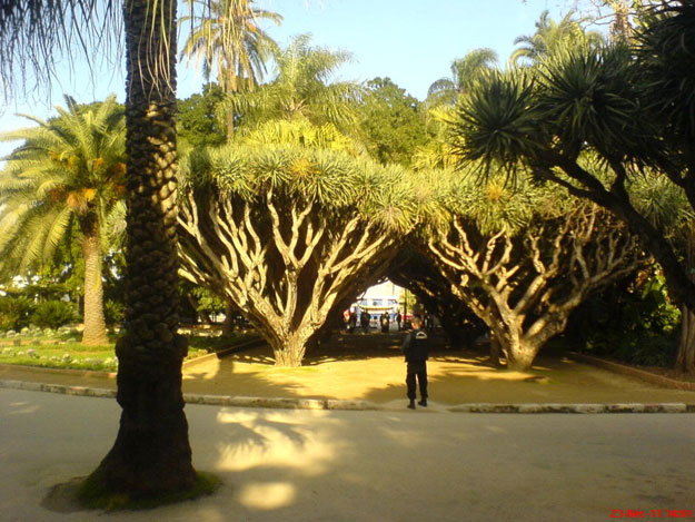 صور حديقة الحامة في الجزائر 2014 , معلومات عن حديقة الحامة 2014