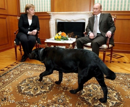 بالصور أنجيلا ميركل ترتعب من كلب الرئيس الروسي فلاديمير بوتين