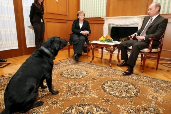 بالصور أنجيلا ميركل ترتعب من كلب الرئيس الروسي فلاديمير بوتين