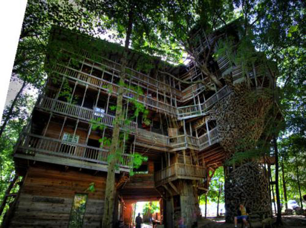 صور منزل شجرة الوزير , صور أكبر منزل مصنوع من الخشب في العالم