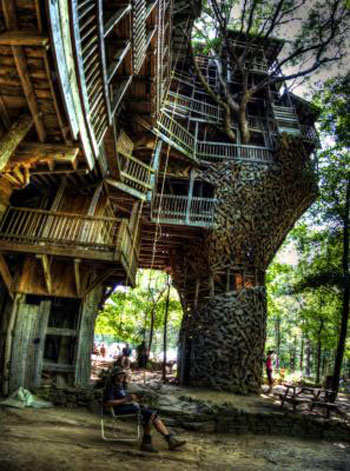 صور منزل شجرة الوزير , صور أكبر منزل مصنوع من الخشب في العالم