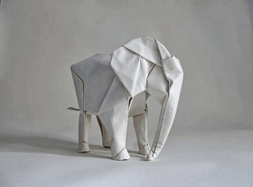 بالصور فيل ضخم مصنوع من قطعة ورق واحدة