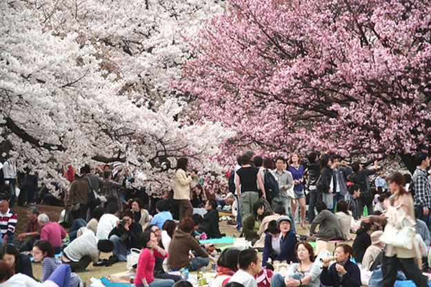 صور الاحتفال بفصل الربيع من حول العالم 2014