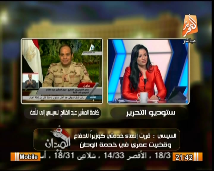 بالفيديو تعليق رانيا بدوي على استقالة وترشح السيسي لرئاسة مصر 2014