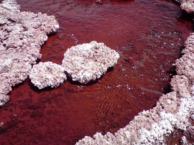 صور بحيرة الدم في تكساس 2014 , معلومات عن البحيرة الحمراء بحيرة الدم 2014