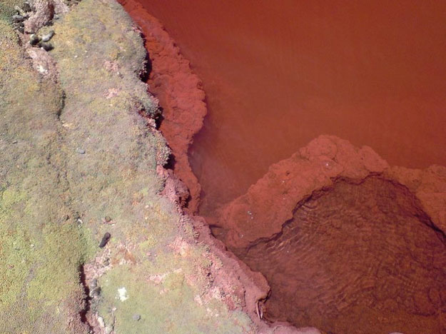صور بحيرة الدم في تكساس 2014 , معلومات عن البحيرة الحمراء بحيرة الدم 2014