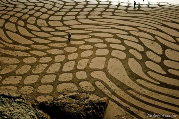 لوحات فنية عملاقة مرسومة على رمال الشواطئ - صور وفيديو